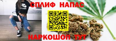 мдпв Пенза