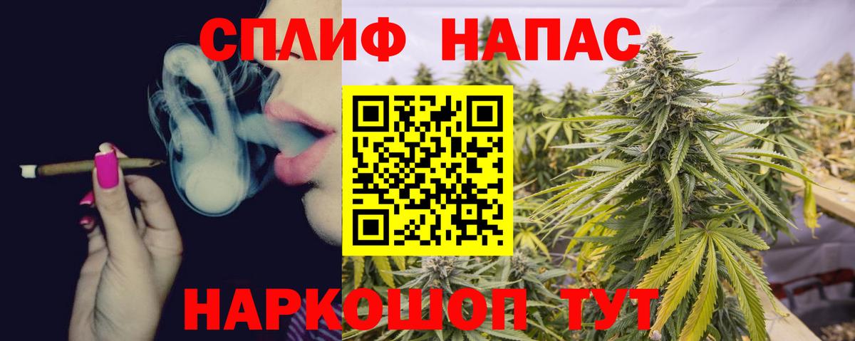 Канабис ГИДРОПОН Балашов